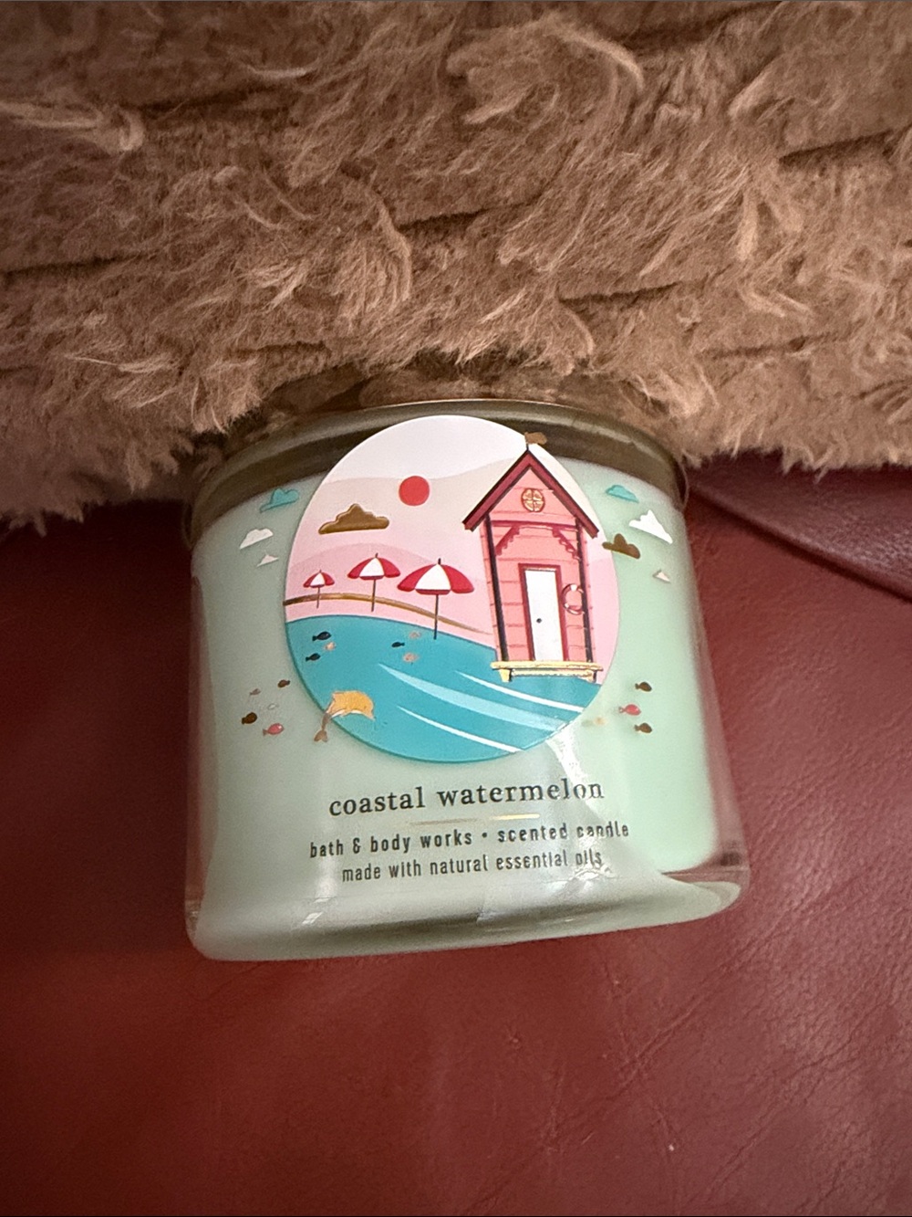 Bath & Body Works Coastal Watermelon Candle - Mint Green, Pink